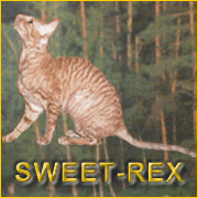 Питомник кошек породы корниш-рекс "Sweet-rex"